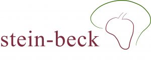 Stein-Beck